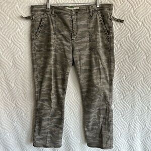 Anthropologie Cropped Chinos